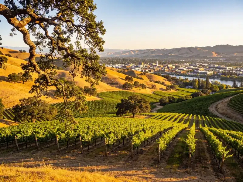 Napa